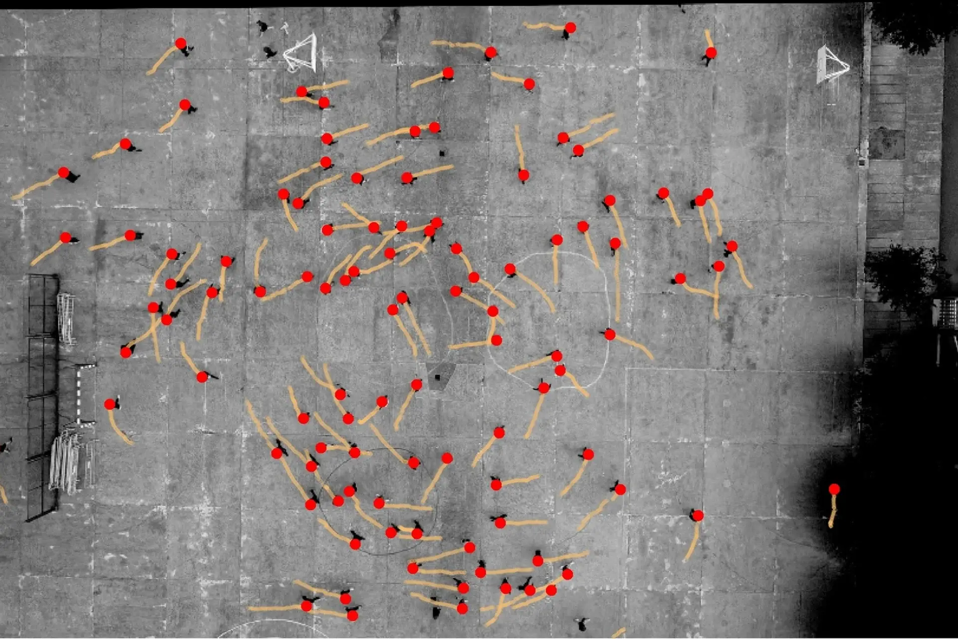 Pedestrians Prefer to Veer Left—and Scientists Have No Idea Why