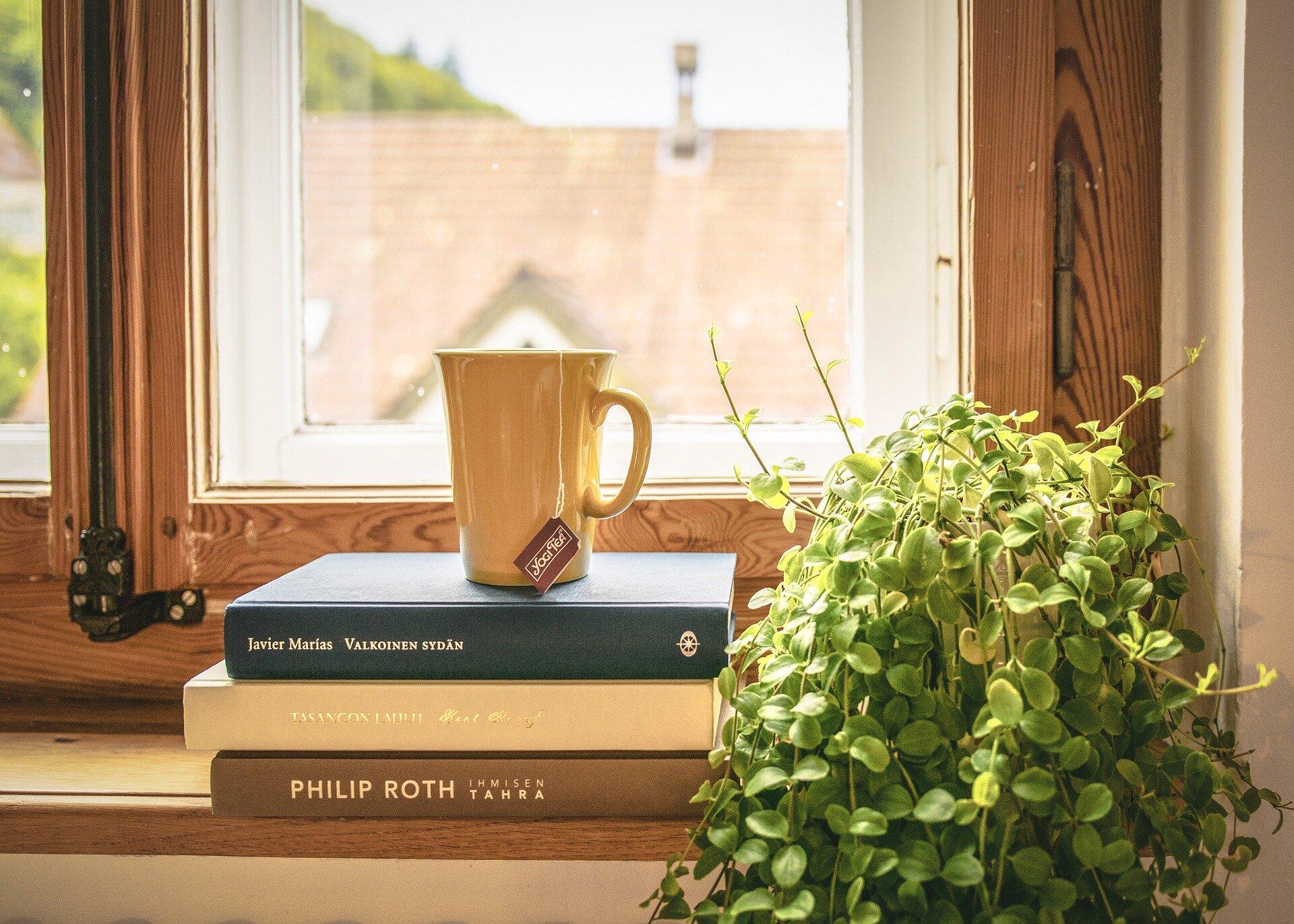 Can houseplants really purify the air in your home? What the science actually says