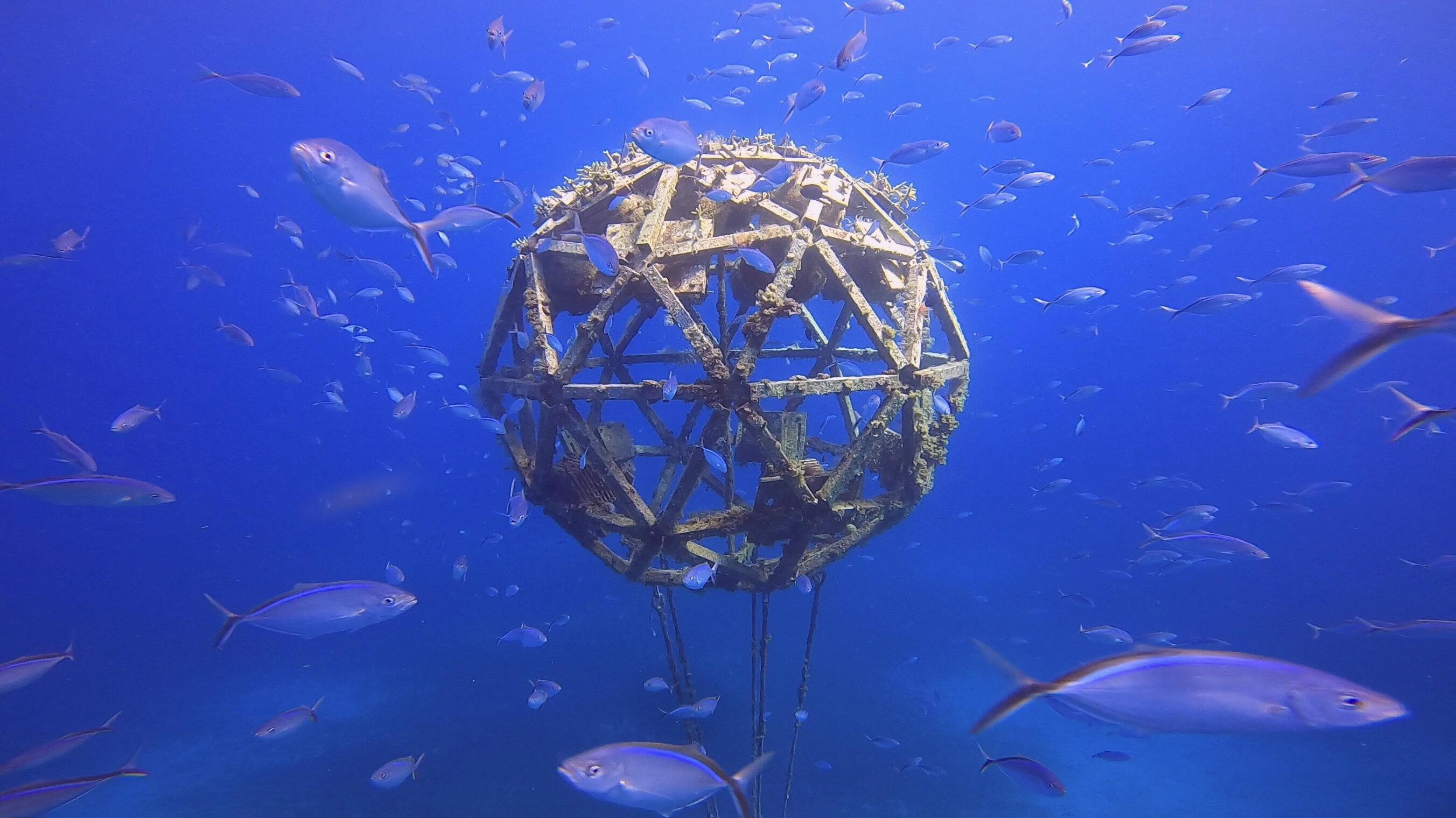 Introducing ecotech, nature's innovation accelerator