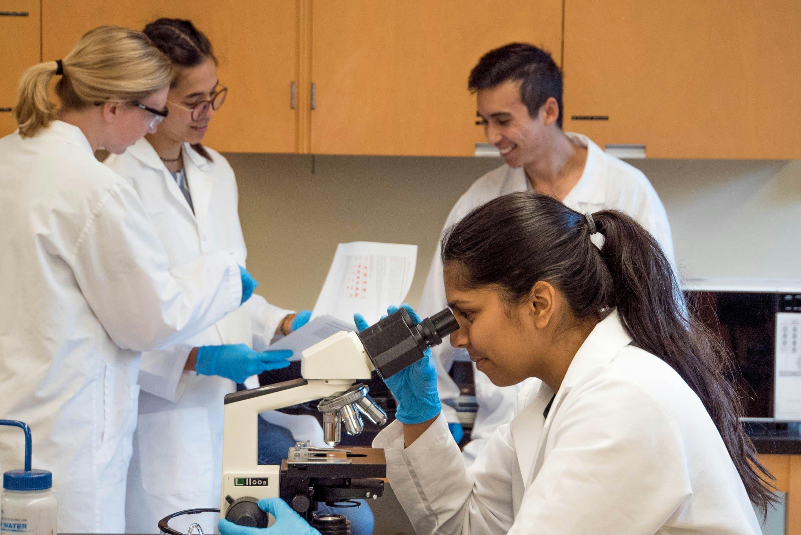 Early-career scientists build national infrastructure to bridge science and policy