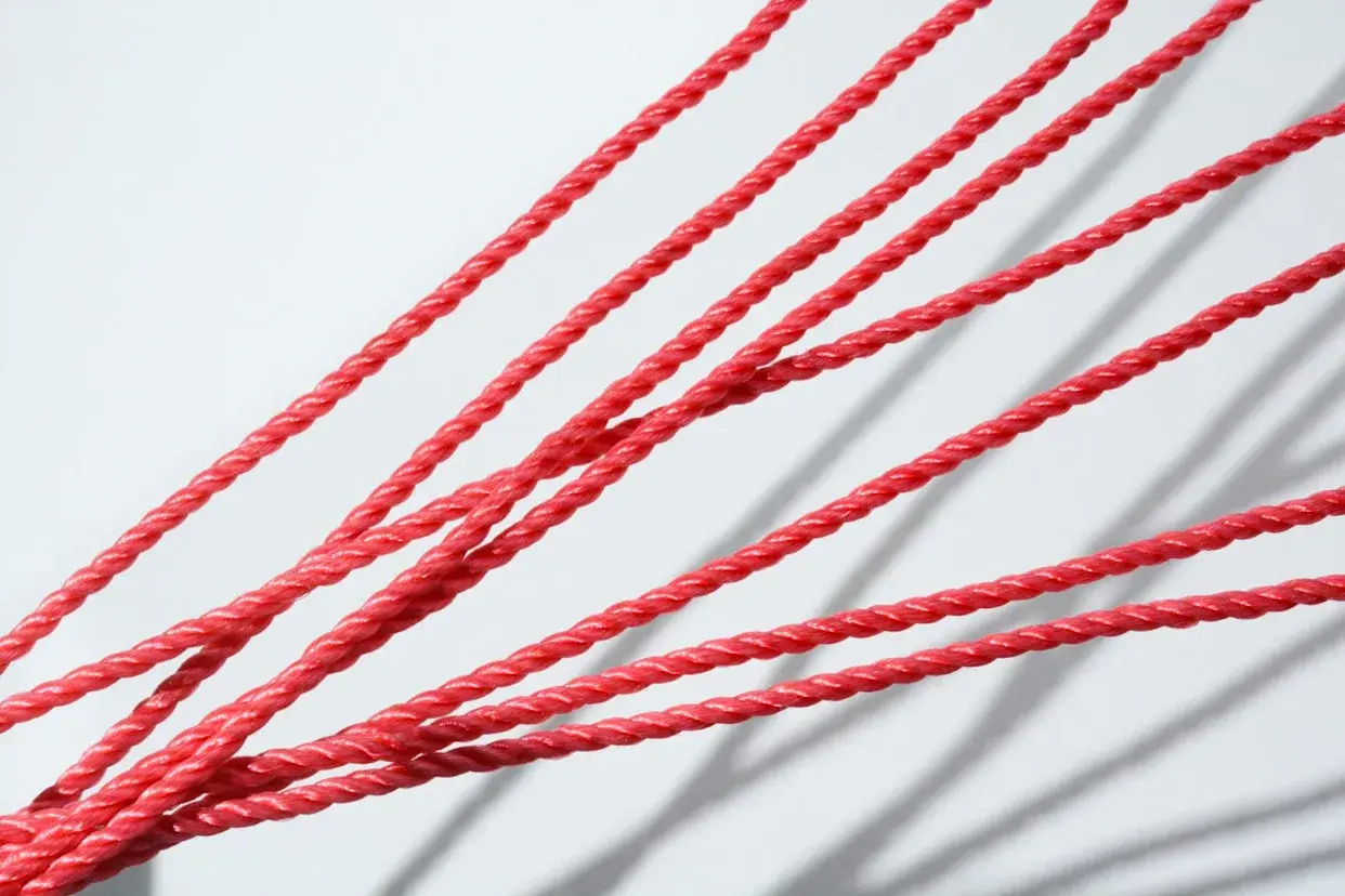 Scientists Think They Just Accidentally Proved String Theory