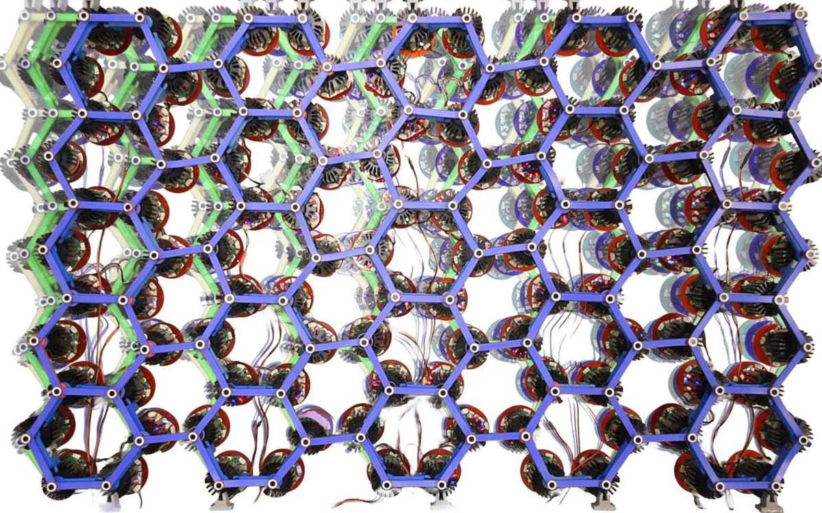 Scientists Create “Living” Materials That Crawl, Walk, and Dig on Their Own